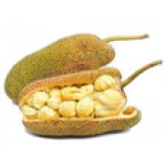 Jackfruit