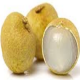 Longan